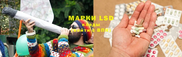 гашик Нея