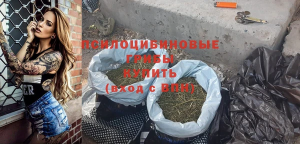гашик Нея