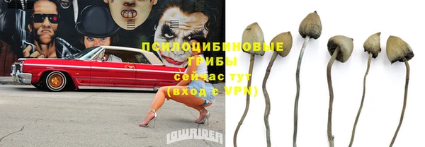 первитин Нефтекумск