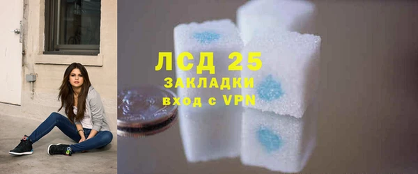 гашик Нея
