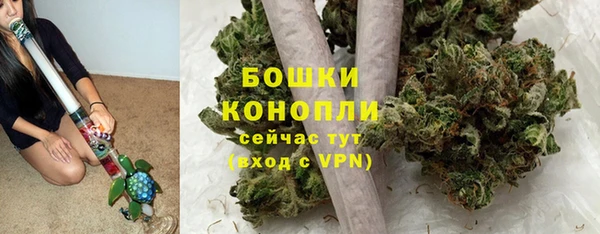 гашик Нея