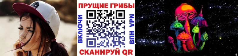 Галлюциногенные грибы Cubensis  Холмск 