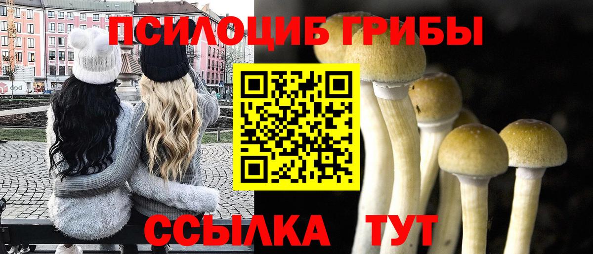 Галлюциногенные грибы мицелий  Вход с VPN  Холмск 