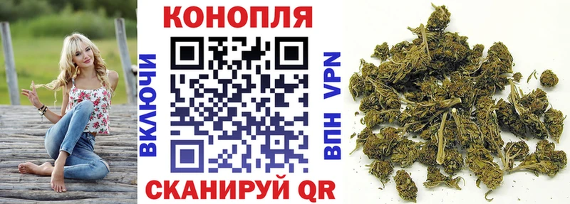 Канабис план  Холмск 